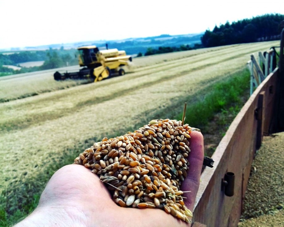 Foto em Lajeado Curvo/Humaitá. Propriedade de Marciel, Roque e Magnus Spiker.