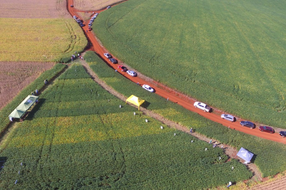 Vista aérea registrada por Charles Neuhaus