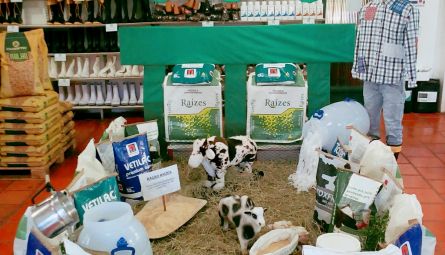 2º Lugar - Filial de Três de Maio