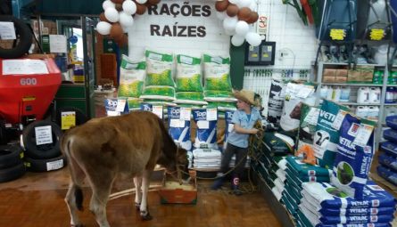 3º Lugar - Filial de Humaitá